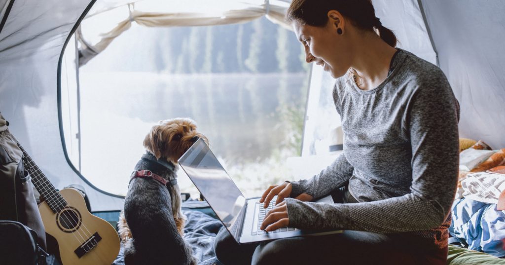 Woman is sitting in her tent with her Yorkshire terrier dog and working on her laptop while camping.