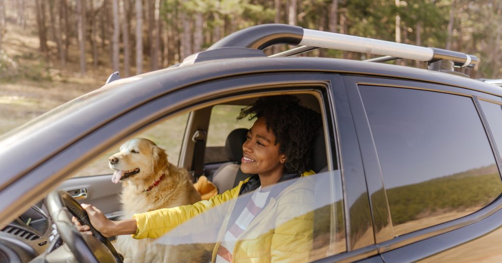 A young woman smiles as she drives a car through fall scenery. Her dog is sitting in the passenger seat.